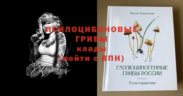 спиды Алексин